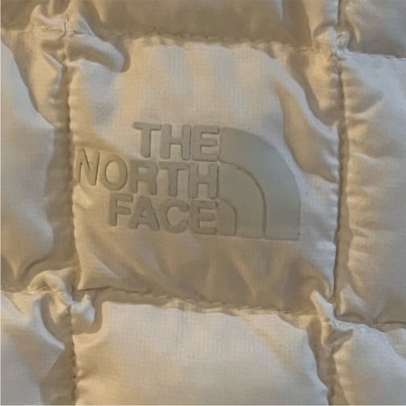 The North Face Thermoball Hybrid Mini Skirt Large - Picture 4 of 8